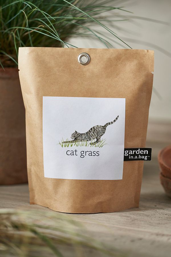 Slide View: 1: Cat Grass Grow Bag Kit