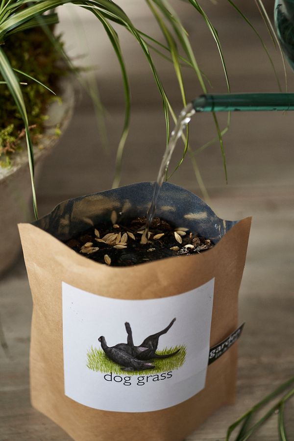 Slide View: 2: Dog Grass Grow Bag Kit