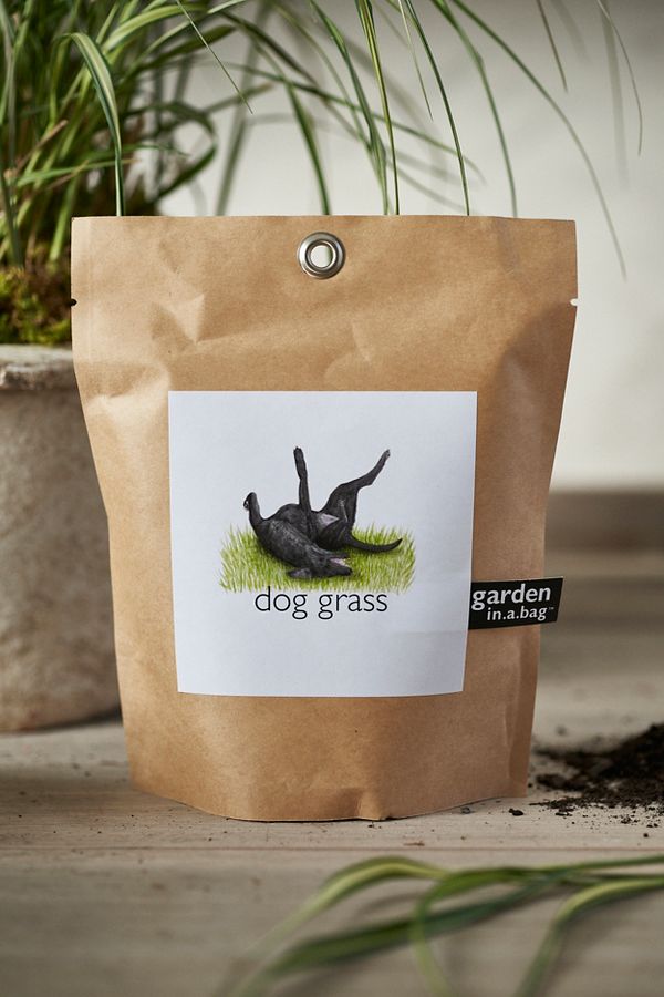 Slide View: 1: Dog Grass Grow Bag Kit