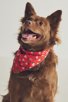 The Foggy Dog Pet Bandana