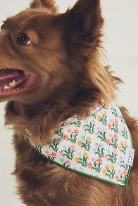 Slide View: 2: The Foggy Dog Pet Bandana