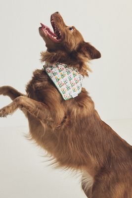 The Foggy Dog Pet Bandana