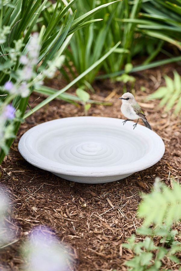 Slide View: 1: Ceramic Basin Bird Bath