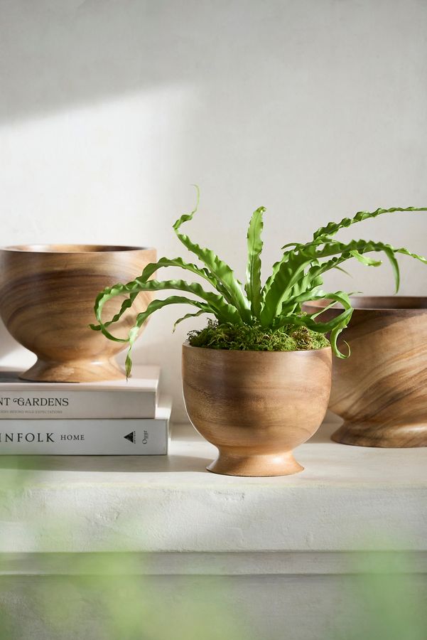 Slide View: 1: Footed Acacia Bowl Planter