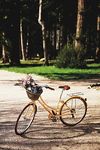 Thumbnail View 1: Nantucket Bike Basket Co. Lightship Oval Basket