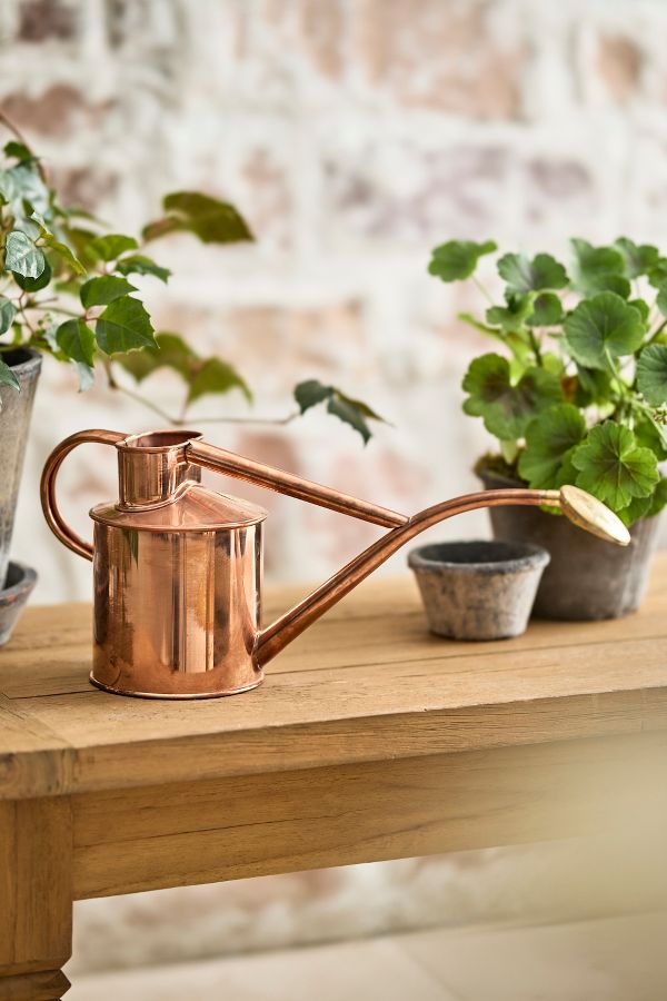 Slide View: 1: Haws 1 Liter Watering Can, Copper