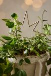 Thumbnail View 1: Brass Star Plant Support