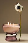 Thumbnail View 1: Kendra Gourmand Sweet Tonka & Vanilla Glass Candle