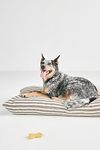 Thumbnail View 1: The Foggy Dog Plush Dog Bed