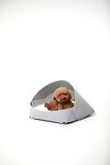 Thumbnail View 1: Pets So Good Marron Pet Bed