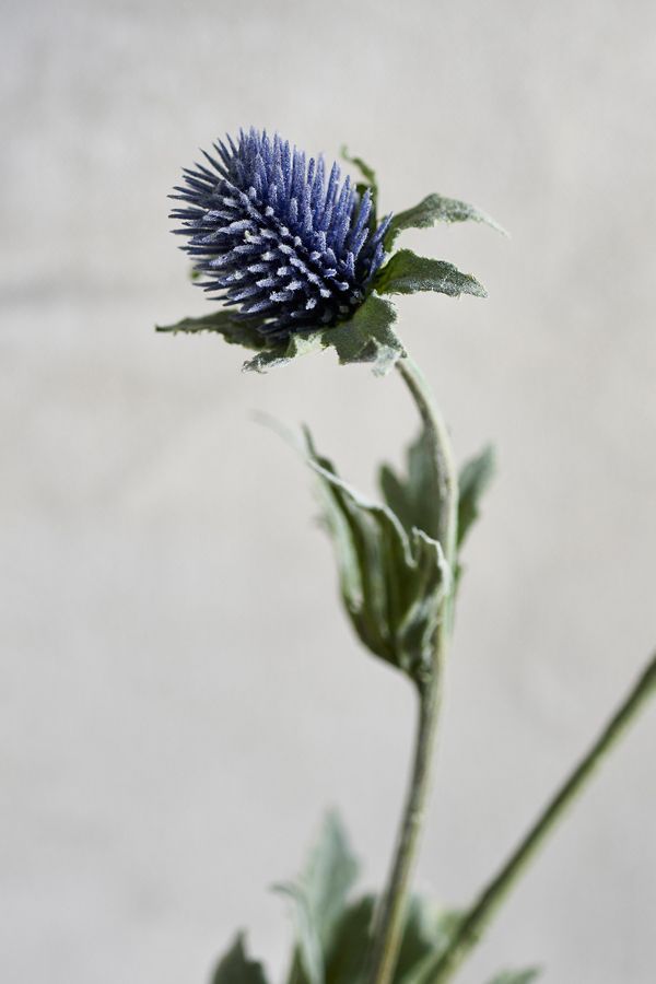 Slide View: 2: Faux Thistle Flower Stem