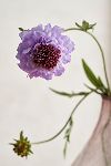 Thumbnail View 2: Faux Scabiosa Flower Spray