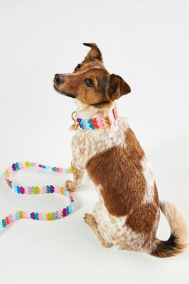 Susan Alexandra Beaded Walk Leash & Collar Bundle