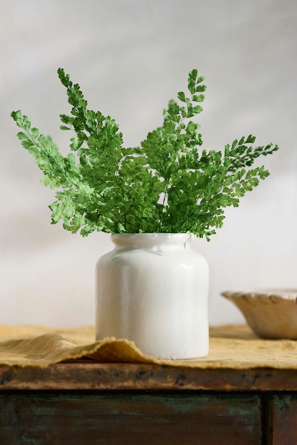 Slide View: 1: Preserved Maidenhair Fern Bunch