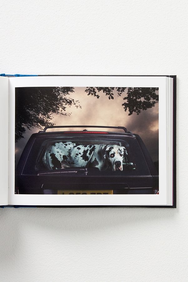 Slide View: 3: The Silence of Dogs in Cars