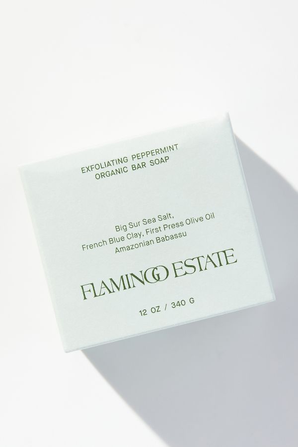 Slide View: 2: Flamingo Estate Exfoliating Peppermint Soap Brick