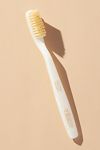 Thumbnail View 1: C.O. Bigelow Natural Bristle Toothbrush