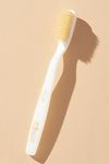 Thumbnail View 1: C.O. Bigelow Natural Bristle Toothbrush