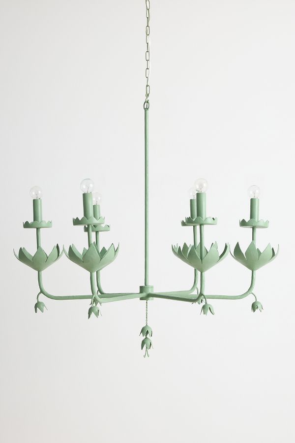 Slide View: 3: Stray Dog Designs x Anthropologie Double Posey Chandelier