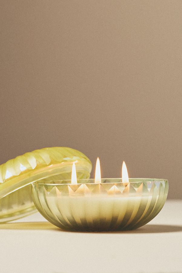 Slide View: 1: Blooming Fruity Clementine & Jasmine Glass Candle