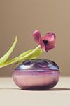 Thumbnail View 1: Blooming Floral Tulip Fields Glass Candle