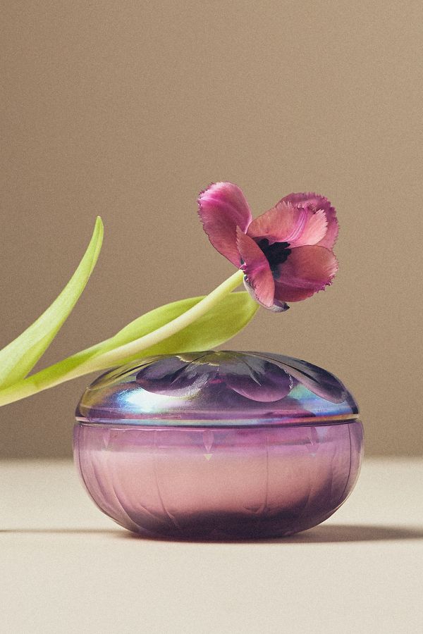 Slide View: 1: Blooming Floral Tulip Fields Glass Candle