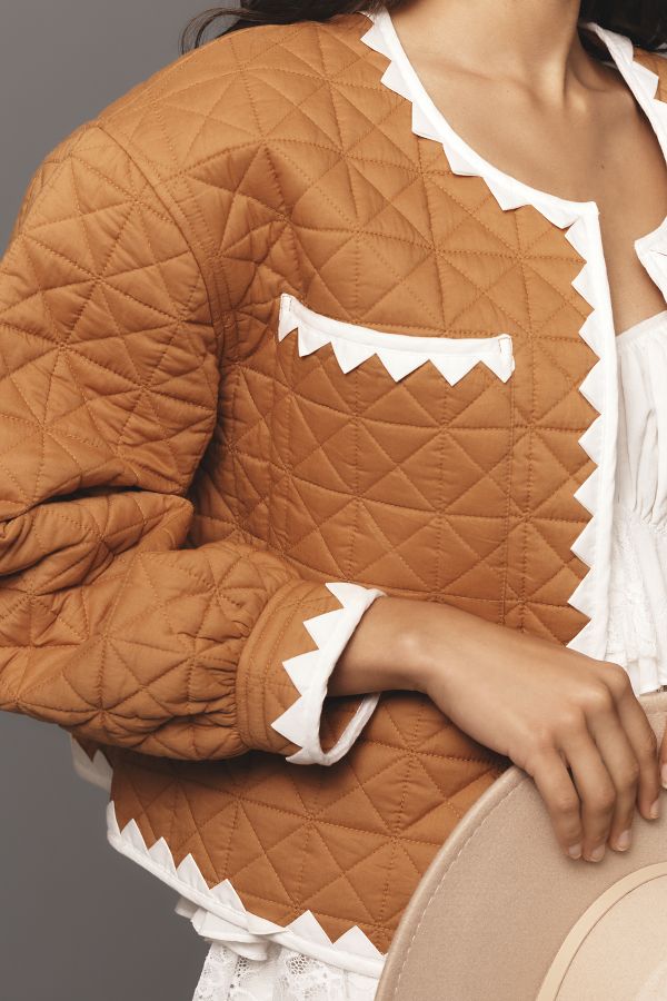 Slide View: 4: By Anthropologie Zigzag-Trim Quilted Jacket