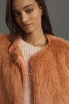 Thumbnail View 3: Gilet en fausse fourrure By Anthropologie