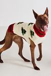 Thumbnail View 1: Hand-Knit Icon Christmas Pet Sweater