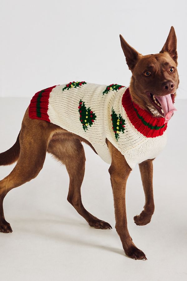 Slide View: 1: Hand-Knit Icon Christmas Pet Sweater