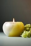 Thumbnail View 1: The Optimist Fresh Emerald Sage & Citrine Glass Candle