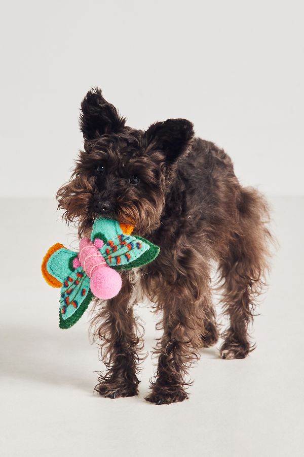 Slide View: 1: Anthropologie Butterfly Dog Toy