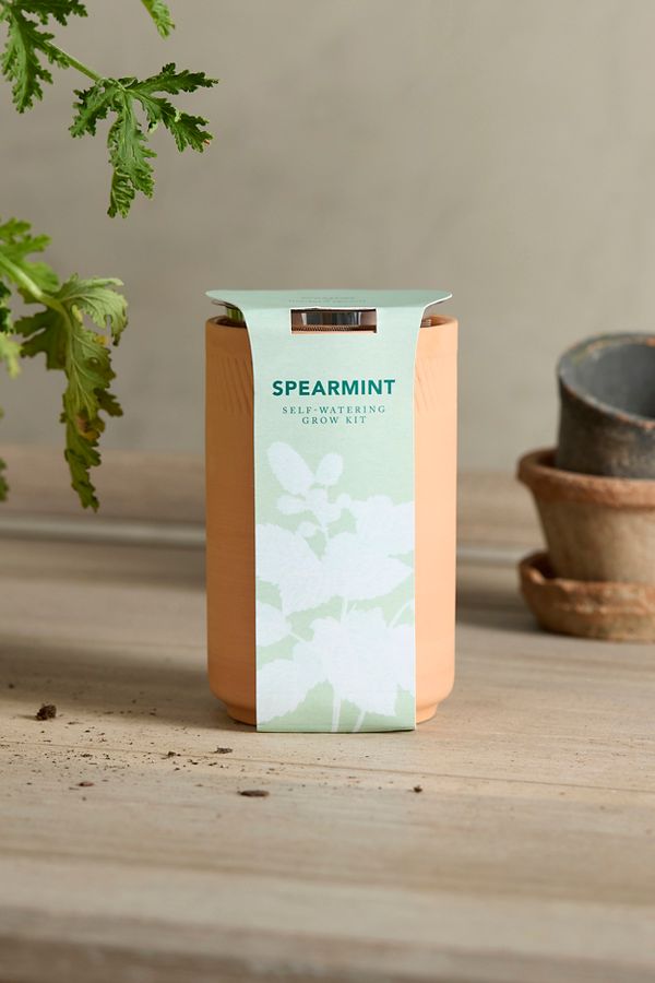 Slide View: 1: Spearmint Self-Watering Grow Kit