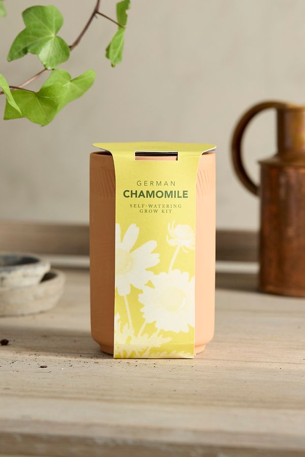 Slide View: 1: German Chamomile Self-Watering Grow Kit