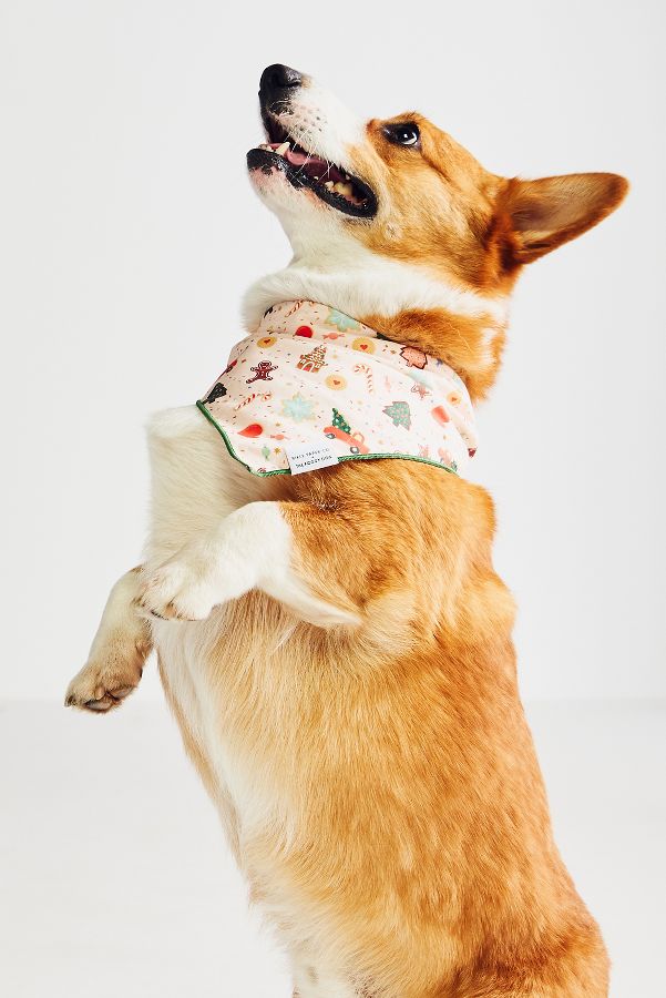 Slide View: 1: The Foggy Dog Holiday Dog Bandana