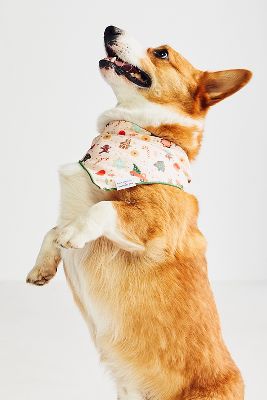 The Foggy Dog Holiday Dog Bandana