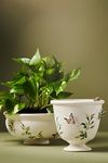 Thumbnail View 1: Gardenia Stoneware Pot