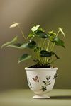 Thumbnail View 2: Gardenia Stoneware Pot