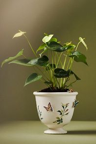 Slide View: 2: Gardenia Stoneware Pot