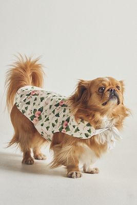 Pootsle Wuilted Puff Ribbon Pet Vest