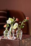 Thumbnail View 3: Clear Glass Bud Vases, Set of 3