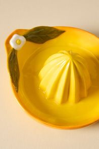 Slide View: 3: Foster Lemon Stoneware Citrus Juicer