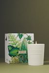 Thumbnail View 1: Les Citadines Urban Garden Eden Boxed Candle