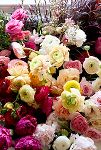 Thumbnail View 5: Fresh Mixed Garden Rose Bouquet