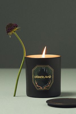 Otherland Fallen Fir Boxed Candle