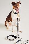 Thumbnail View 1: The Bistro Tile Dog Leash