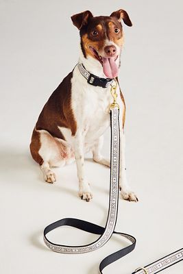 The Bistro Tile Dog Leash