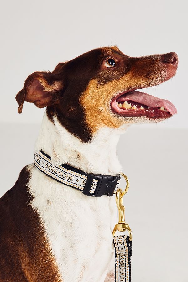 Slide View: 1: The Bistro Tile Dog Collar