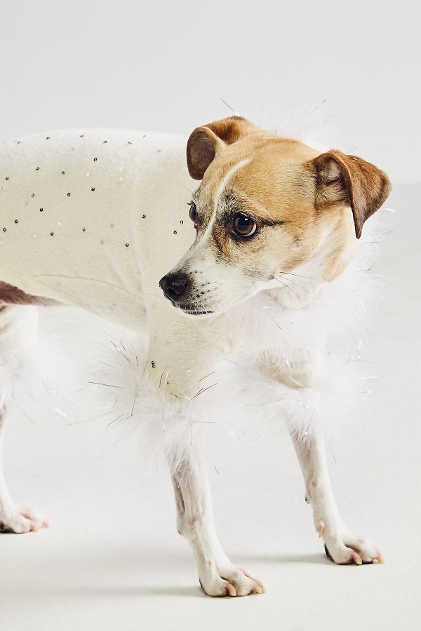 Slide View: 1: Maxbone x Anthropologie Sequin Pet Sweater