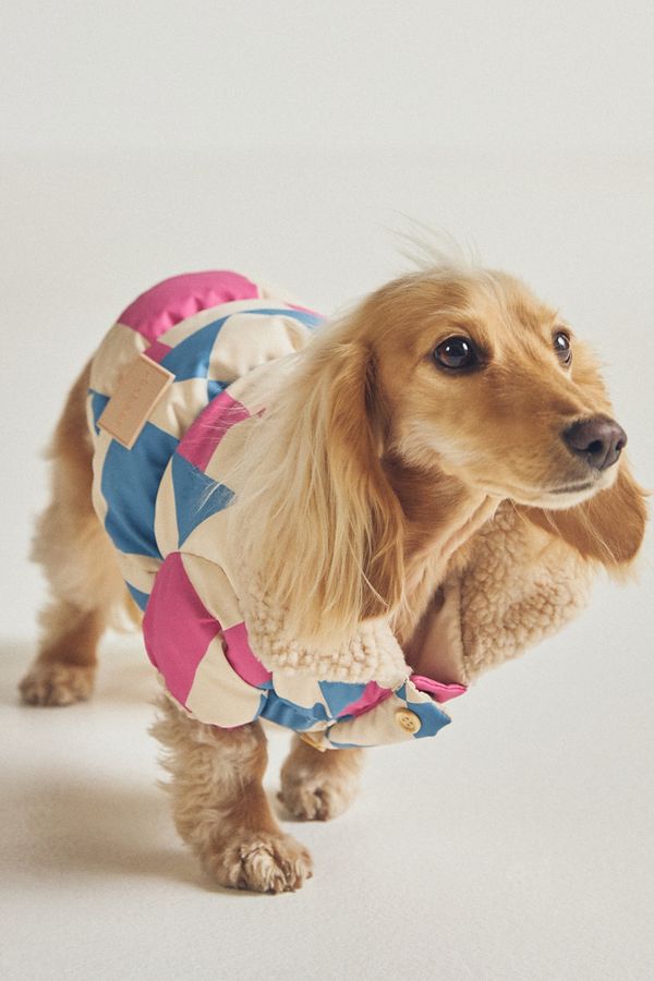 Slide View: 6: Maxbone x Anthropologie Quilted Pet Puffer Jacket